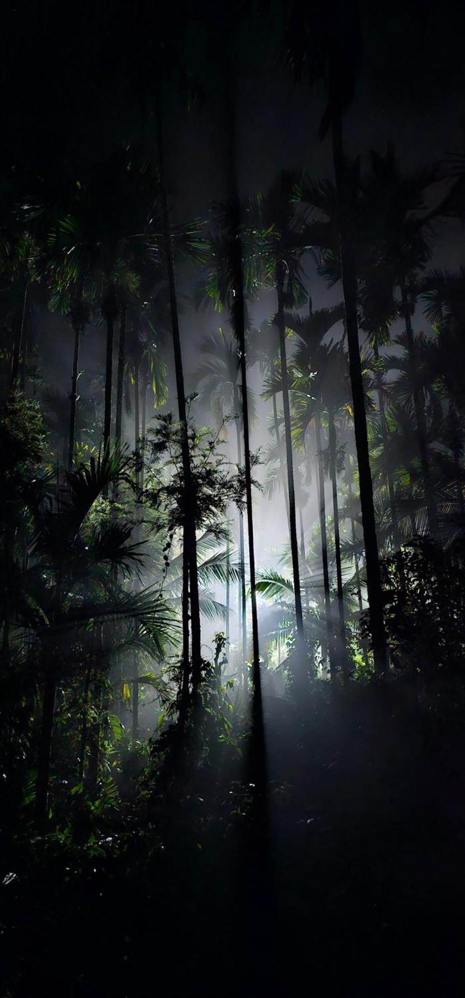 Willa Whiskeywoods Madikeri Zewnętrze zdjęcie